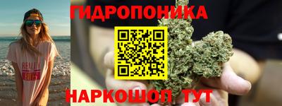 mdpv Лесосибирск