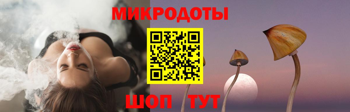 Галлюциногенные грибы Psilocybine cubensis Альметьевск